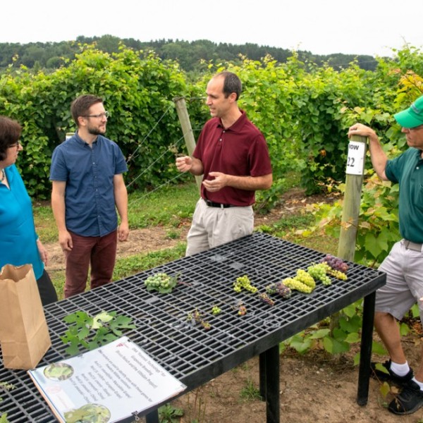 President Martha E. Pollack tours Cornell AgriTech
