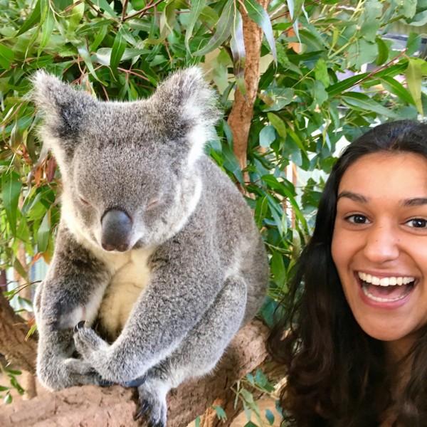 Girl with koala 