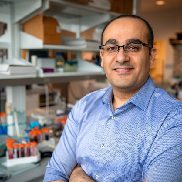 Alireza Abbaspourrad