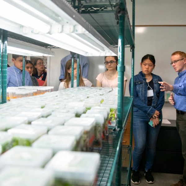 Researcher points at plant samples while talking to high school students