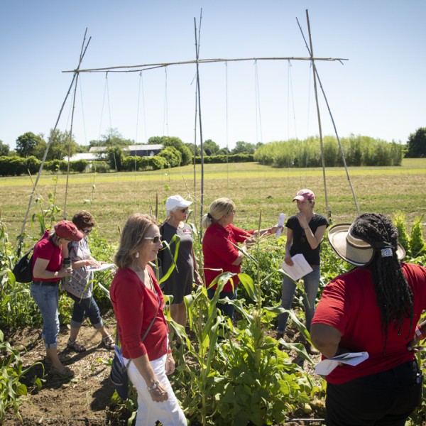 volunteers and educators stand in a field