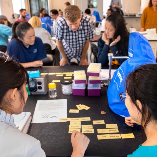 Students at a table doing hands-on learning