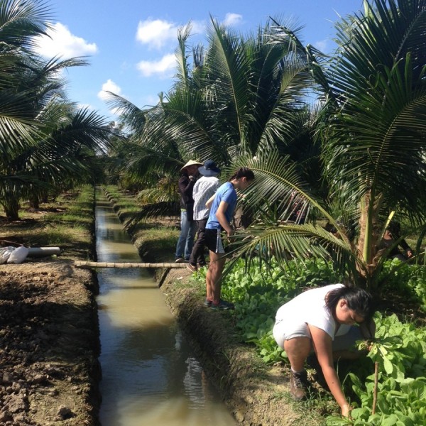 students plant mangrove trees standing on the side of a water channel