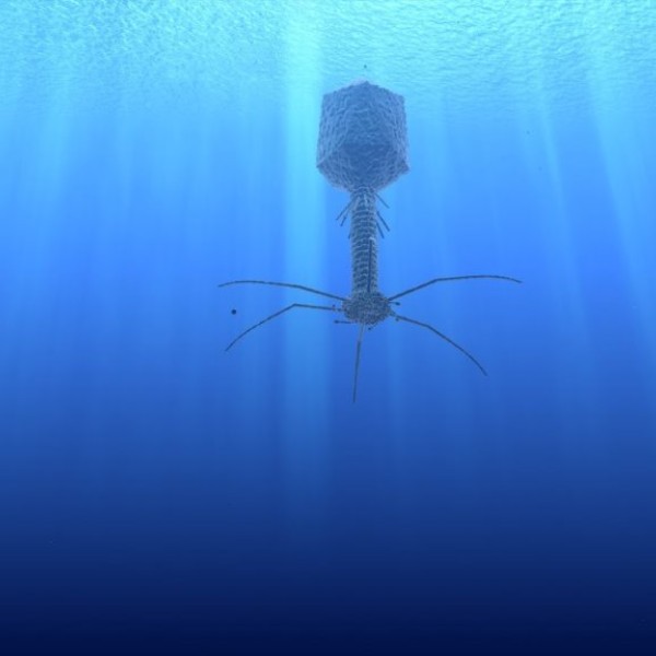 scientific equipment suspended in water