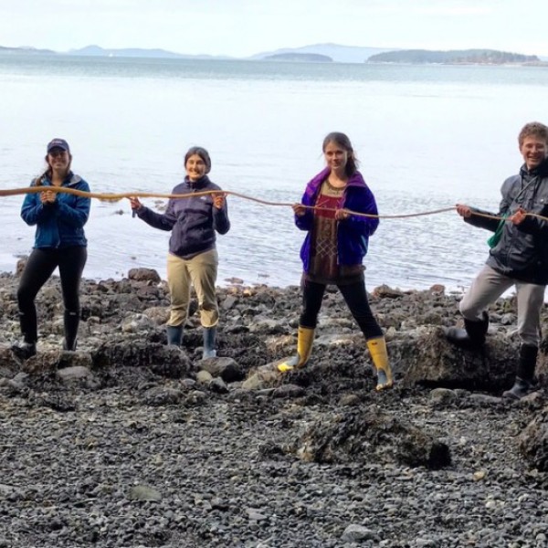 Students hold a piece of giant kelp