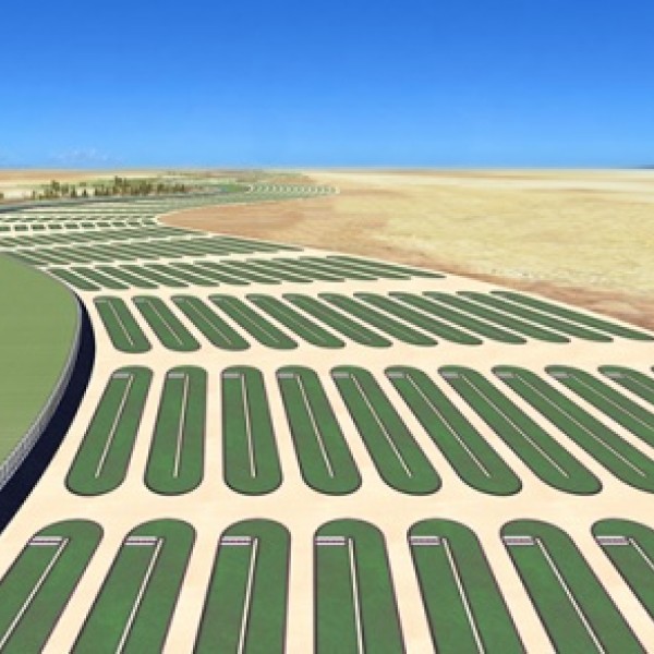 Algae pools and water in desert