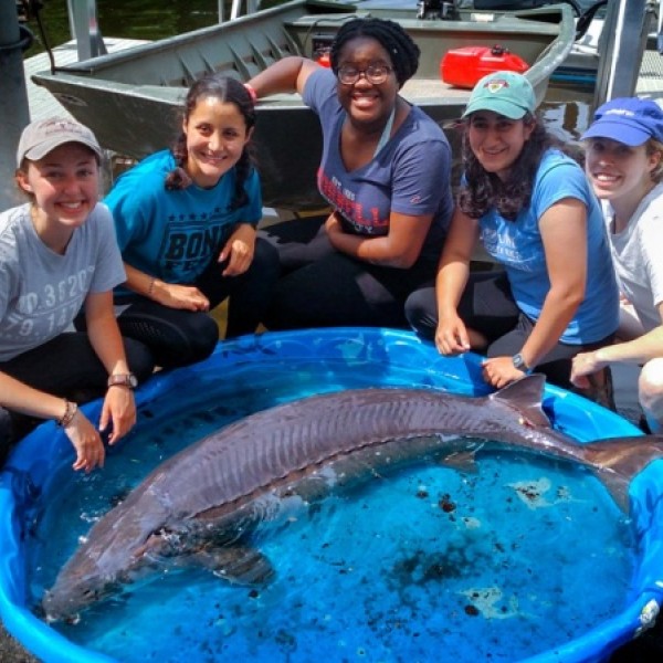 Five students squat by a plastic kiddie pool holding a giant fish