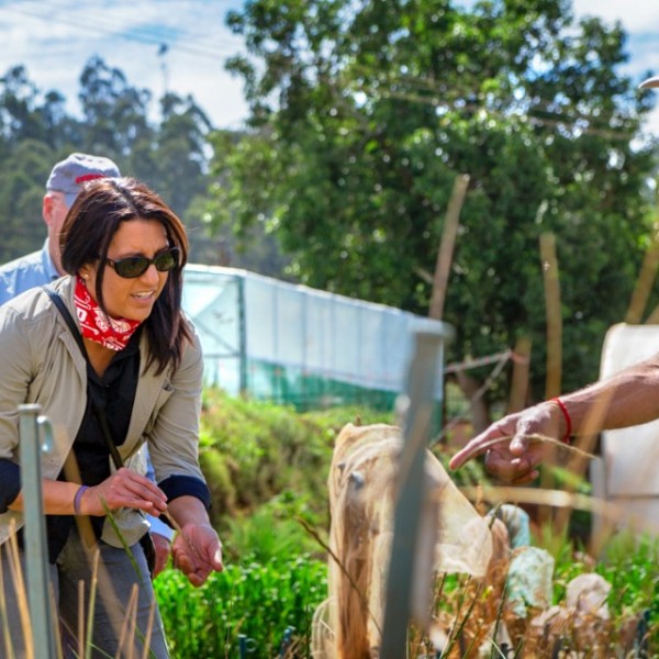 A woman speaking with a man in a garden 
