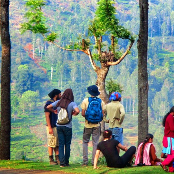 Male and female students standing outside on grass with their backs to the camera looking out at a beautiful view of green trees and forest