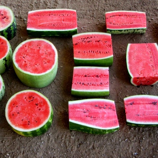 Sliced watermelon laid face up on a table