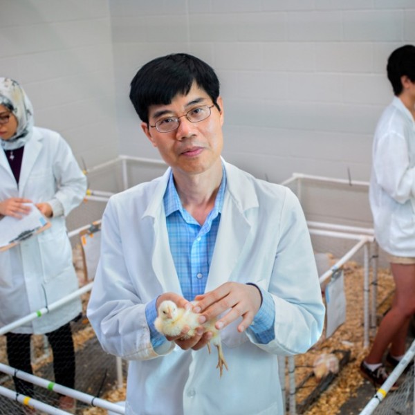 An asian male standing in a room containing pens of chickens with male and female lab workers behind him