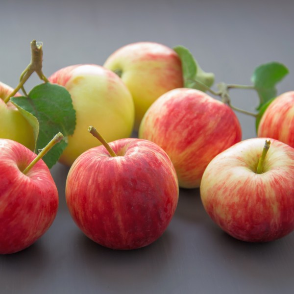 Several red and yellow apples on a grey table