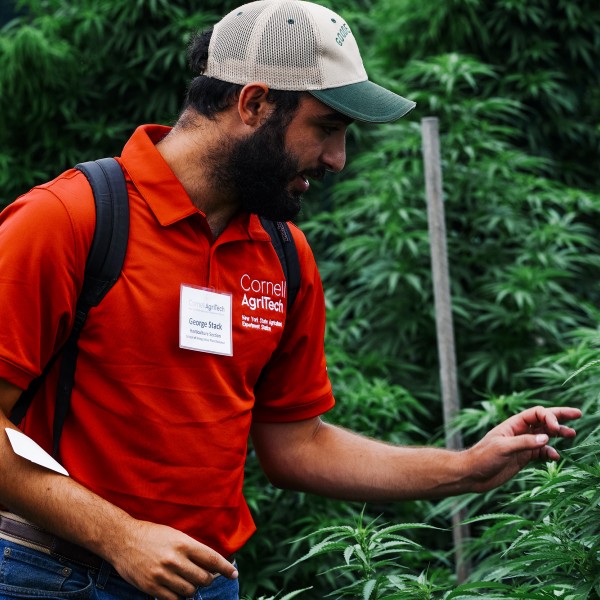 A man wearing a red shirt and baseball hat standing in front of and talking about a green leafy plant