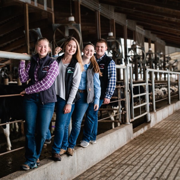 Three females and a male standing in front of a gate in a dairy barn