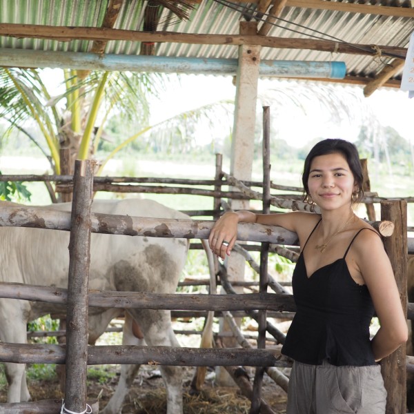 A female student standing in front of a large penned farm animal 