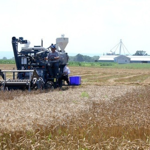 A piece of farming equipment moves through a field