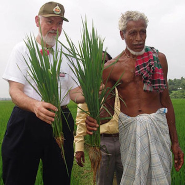 Two men hold plant roots in a field