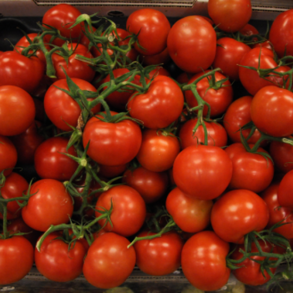 Tomatoes
