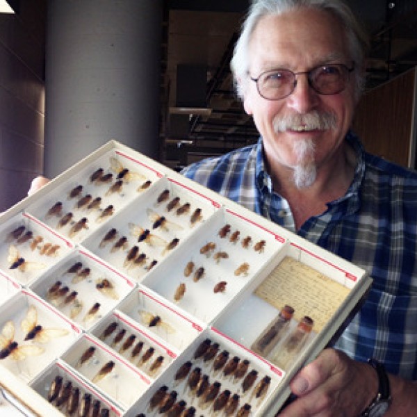 A man holding a case of preserved bugs