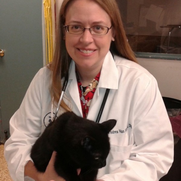 A woman holds a black cat