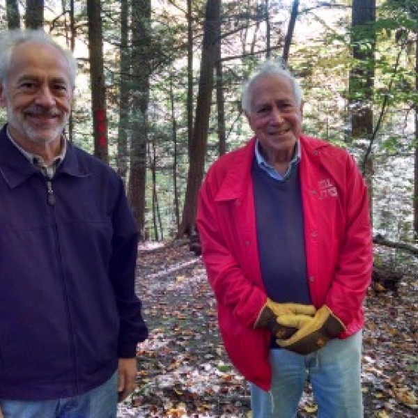 Two men hiking in the forest