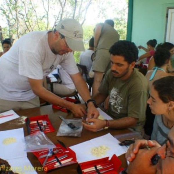 A group of people participate in specimen preparation for an ornithology class