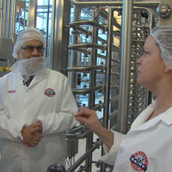 People wearing personal protective equipment in the Cornell Dairy plant