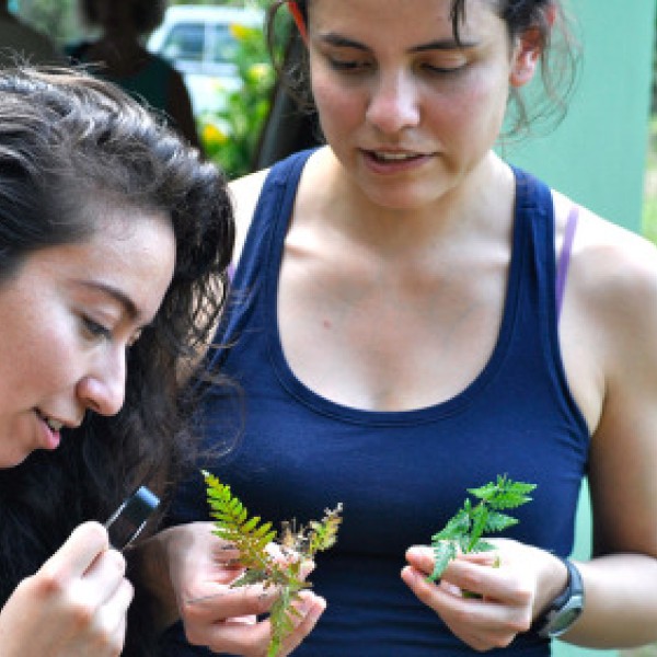Two girls examine the leaves of plants under a magnifying glass