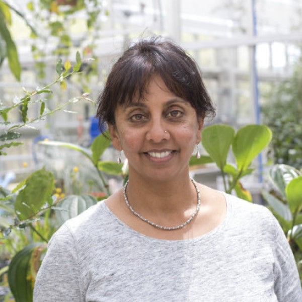A woman stands in a greenhouse
