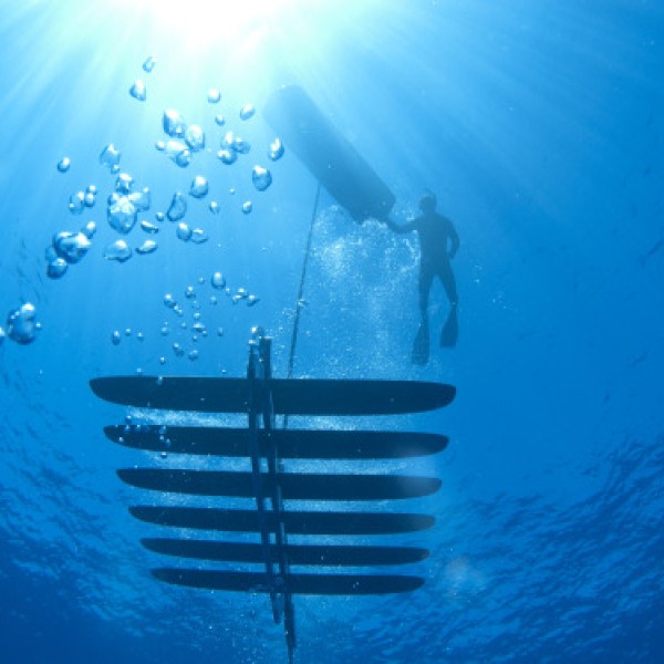 A person diving underwater with a robot used to collect acoustic data