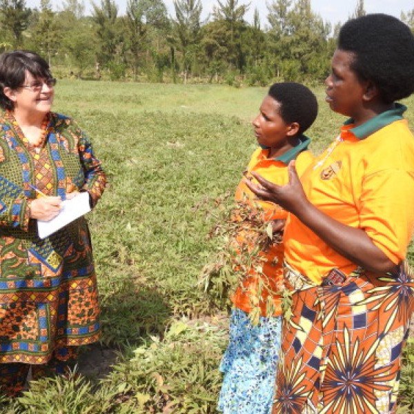 Three women stand in a field of orange-fleshed sweet potatoes.