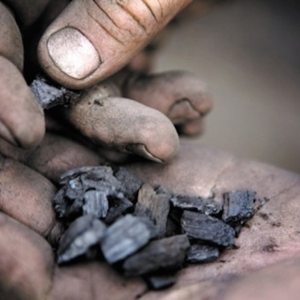 Hands hold biochar
