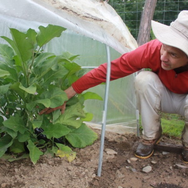 A man gardening
