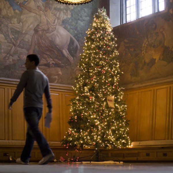 A man walks by a decorated Christmas tree