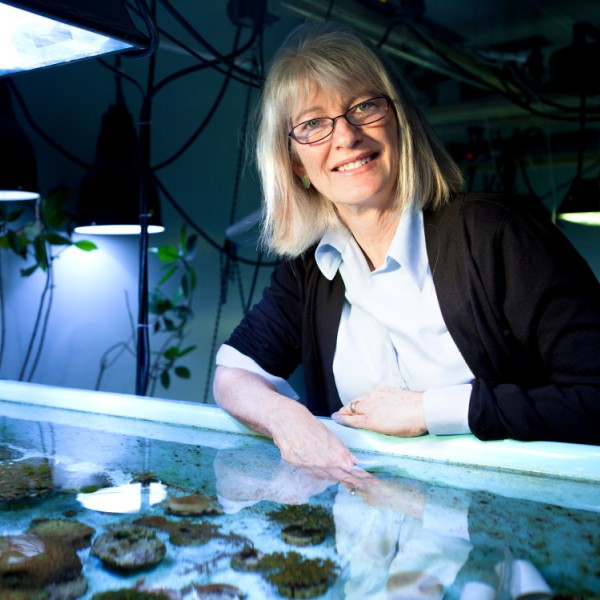 A woman stands in a dark room with her hand in the water of a large aquarium in the room