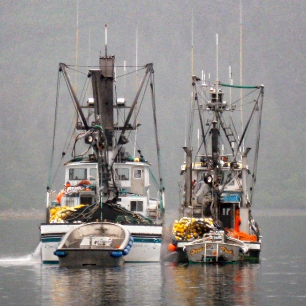 Two fishing boats sitting side by side in the water 