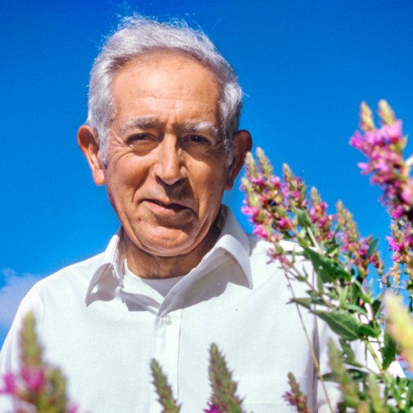 An older man standing in a field a flowers with a blue sky behind him