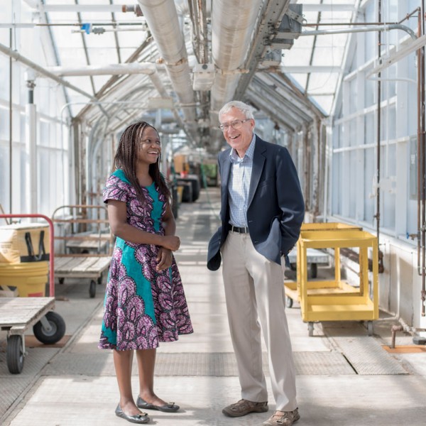 A man and woman standing and talking in a greenhouse 