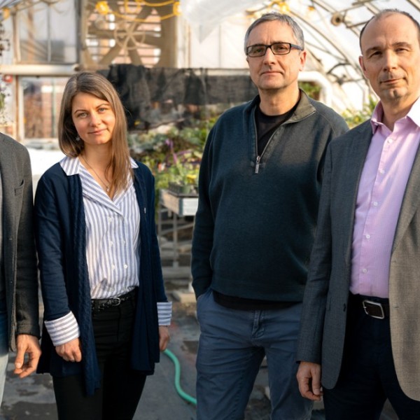 Three men and one woman standing in a greenhouse 