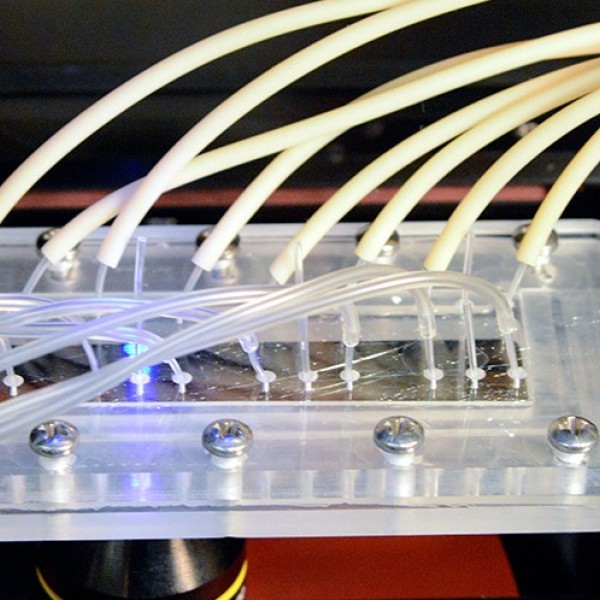 A small clear plastic chip with cords coming out of it