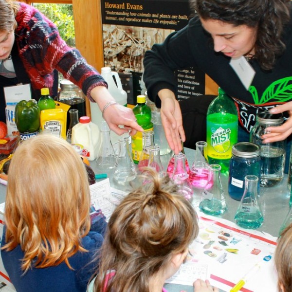 Two graduate students pointing to beakers as young students watch