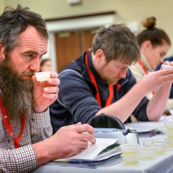 Men and women sitting at a table sampling wine