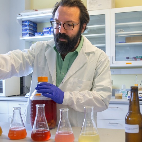 A man wearing a lab coat and blue gloves looks at red, orange and yellow-hued liquids in glass beakers
