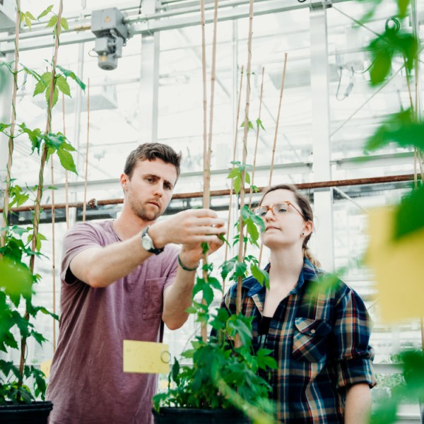 A man holds the branch of a plant as he shows it to a woman watching curiously