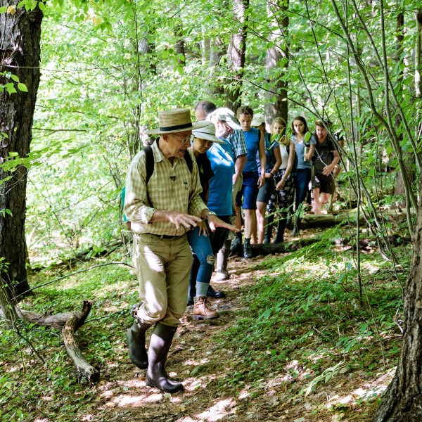 A man leads a line of students down a path in the woods