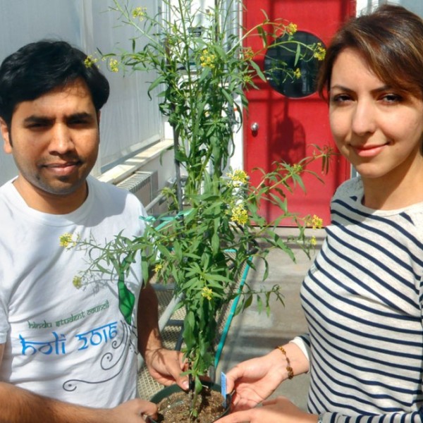A man and a woman stand in the sunlight holding a flower between the two of them