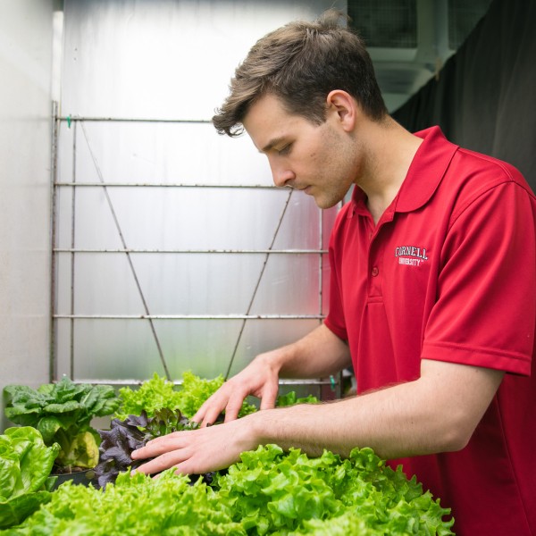 A student examines plants as part of his research 