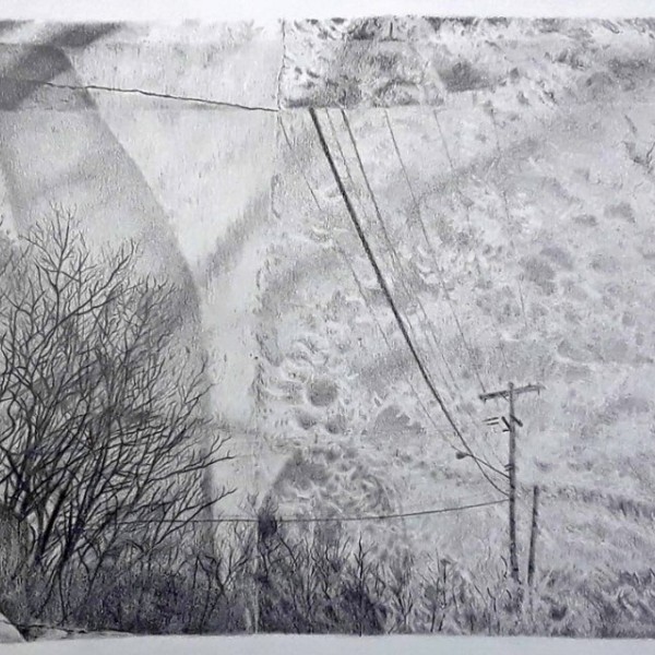 Black and white artwork showing phone lines and grass.