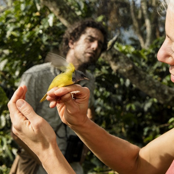 A woman holding a small, yellow bird 