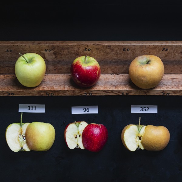 five different green and red apples on a wood slab